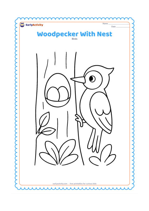 Colouring page: A woodpecker perches beside a tree cavity containing a simple nest with two rounded eggs. Add one leafy branch and a few large woodland plants.