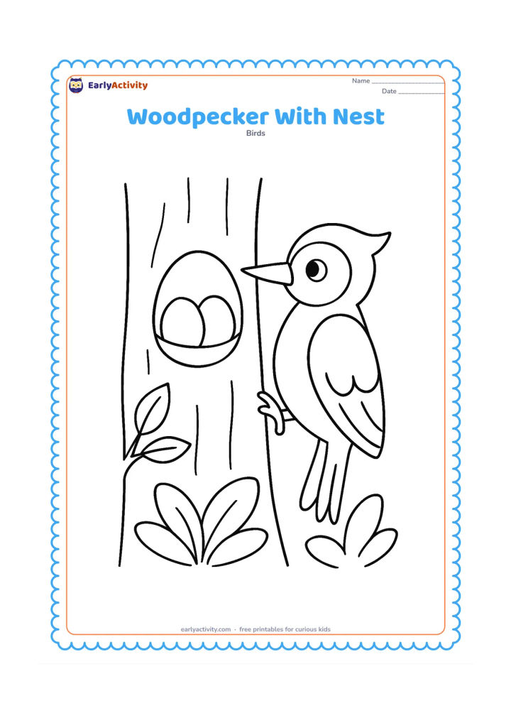 Colouring page: A woodpecker perches beside a tree cavity containing a simple nest with two rounded eggs. Add one leafy branch and a few large woodland plants.