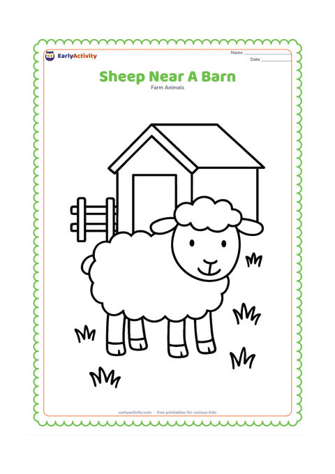 Colouring page: A large sheep stands outside a small plain farm barn with an open doorway, a fence and several grass clumps. Do not include any sign or writing on the barn.