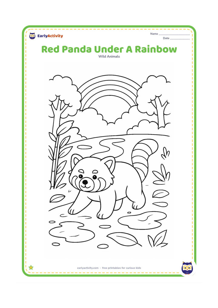 Colouring page: Draw a red panda walking along a leafy forest path after rain, with a simple rainbow arching behind distant trees. Add puddles, bamboo and several broad leaves.