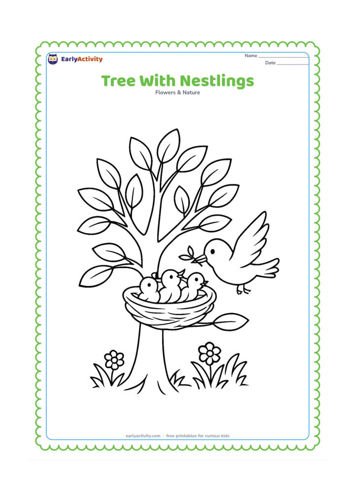 Colouring page: Draw a tree with several visible branches, a nest holding three baby birds, one adult bird bringing a twig, and leaves scattered around the crown. Include a small patch of grass and…