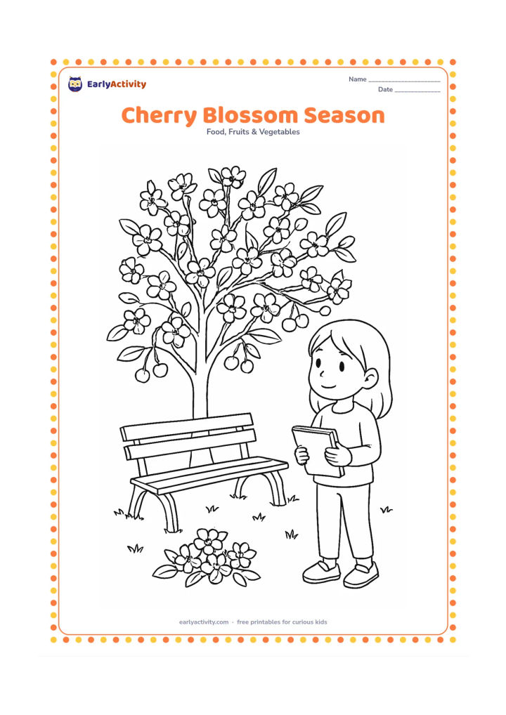 Colouring page: Draw a cherry tree in spring with blossom clusters, developing fruit, a bench beneath it and a child observing the branches with a small sketchbook held closed.