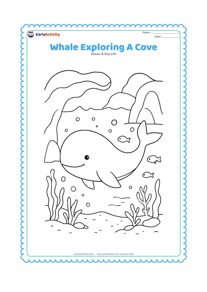 Colouring page: Draw a whale entering a sheltered ocean cove with rounded cliffs, a sandy underwater floor, sea plants, bubbles, and a few fish. Leave the whale's body open and central.