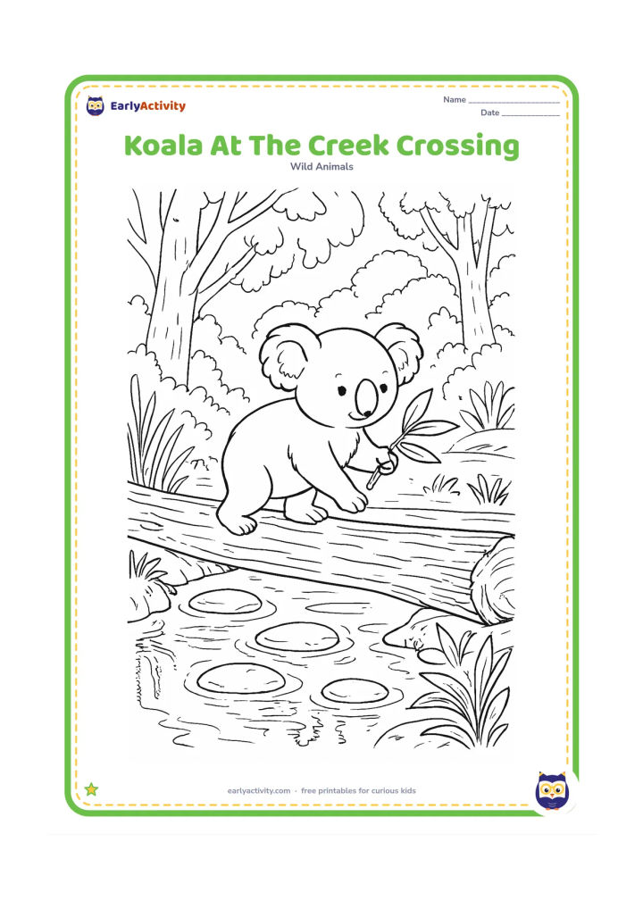 Colouring page: Draw a koala carefully crossing a fallen log over a shallow creek while carrying a eucalyptus twig. Include stepping stones, reeds, reflections, textured logs, grasses and forest plants.