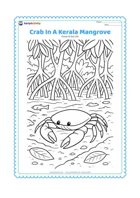 Colouring page: Draw a crab moving across muddy ground among detailed mangrove roots in a Kerala-style coastal wetland, with overhanging leaves, shallow water, a small fish, fallen leaves and mud burrow…