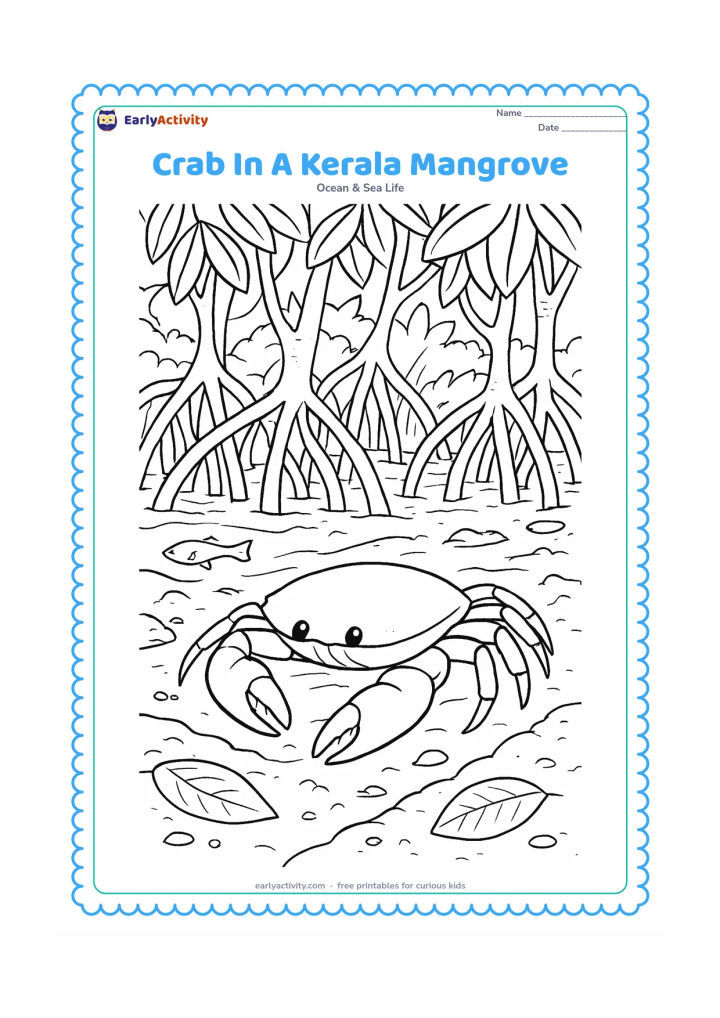 Colouring page: Draw a crab moving across muddy ground among detailed mangrove roots in a Kerala-style coastal wetland, with overhanging leaves, shallow water, a small fish, fallen leaves and mud burrow…
