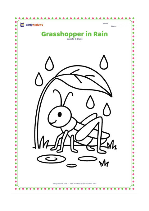 Colouring page: Draw a grasshopper sitting beneath one large leaf while a few rounded raindrops fall around it. Include simple puddle ripples and short grass below.