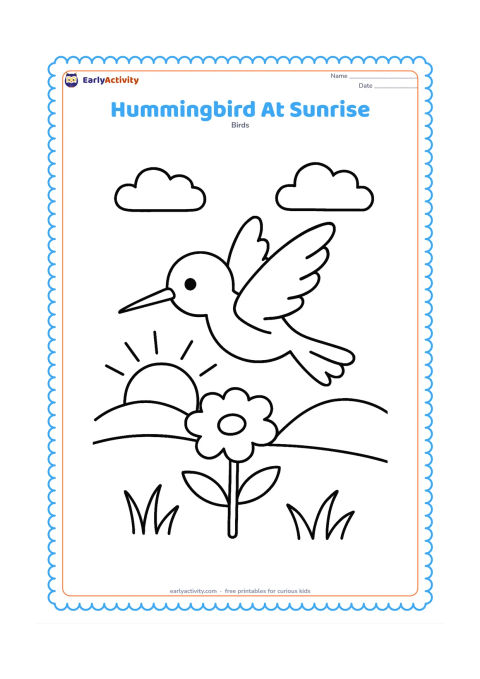 Colouring page: A hummingbird rises above a single flower as the sun comes up behind low rounded hills. Include two simple clouds and a few grass blades.