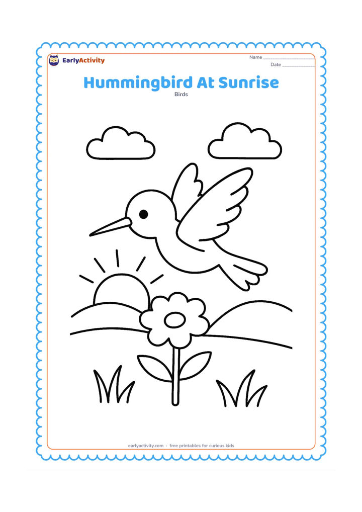 Colouring page: A hummingbird rises above a single flower as the sun comes up behind low rounded hills. Include two simple clouds and a few grass blades.
