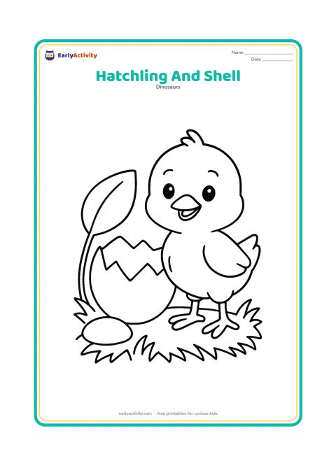 Colouring page: A cheerful little hatchling stands beside its large broken egg shell in a grassy nest. Include one oversized leaf and a smooth stone.