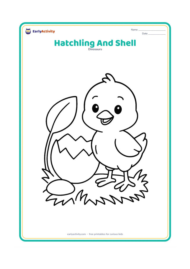 Colouring page: A cheerful little hatchling stands beside its large broken egg shell in a grassy nest. Include one oversized leaf and a smooth stone.