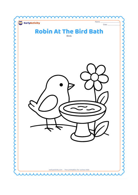 Colouring page: Draw a large robin standing beside a shallow round bird bath on a pedestal, with one oversized flower and two broad leaves nearby. Show a few simple ripples in the water.