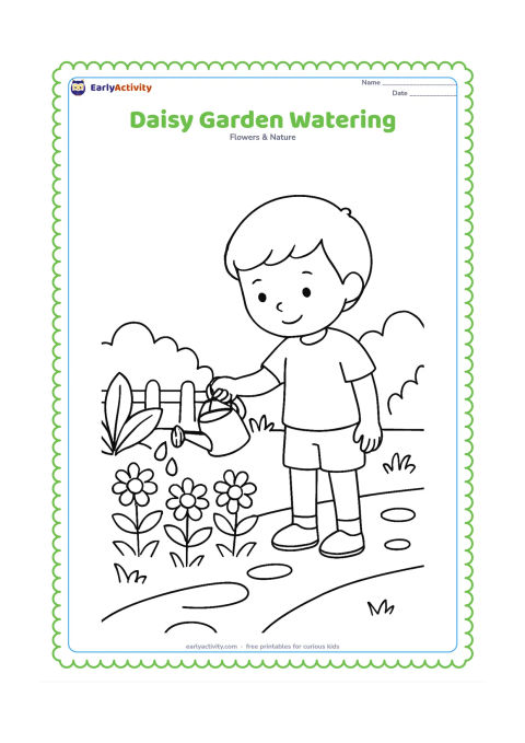 Colouring page: Draw a child watering a row of daisies with a small watering can. Include a garden path, broad leaves, grass clumps and a low fence behind the child.