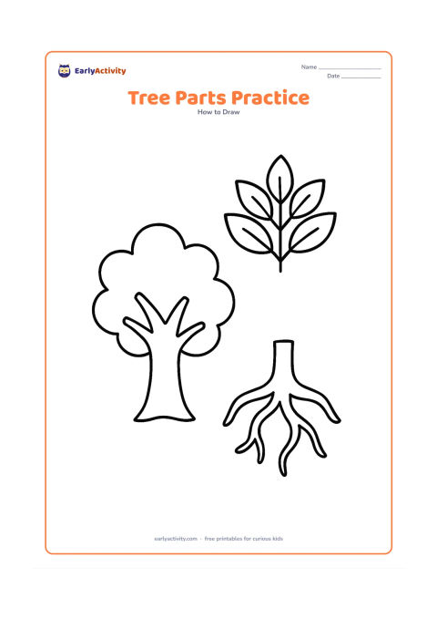 Worksheet: Show three separate large drawing areas on one page: a broad trunk with two branches, a cluster of leaves, and a simple root shape, arranged without any labels or text.