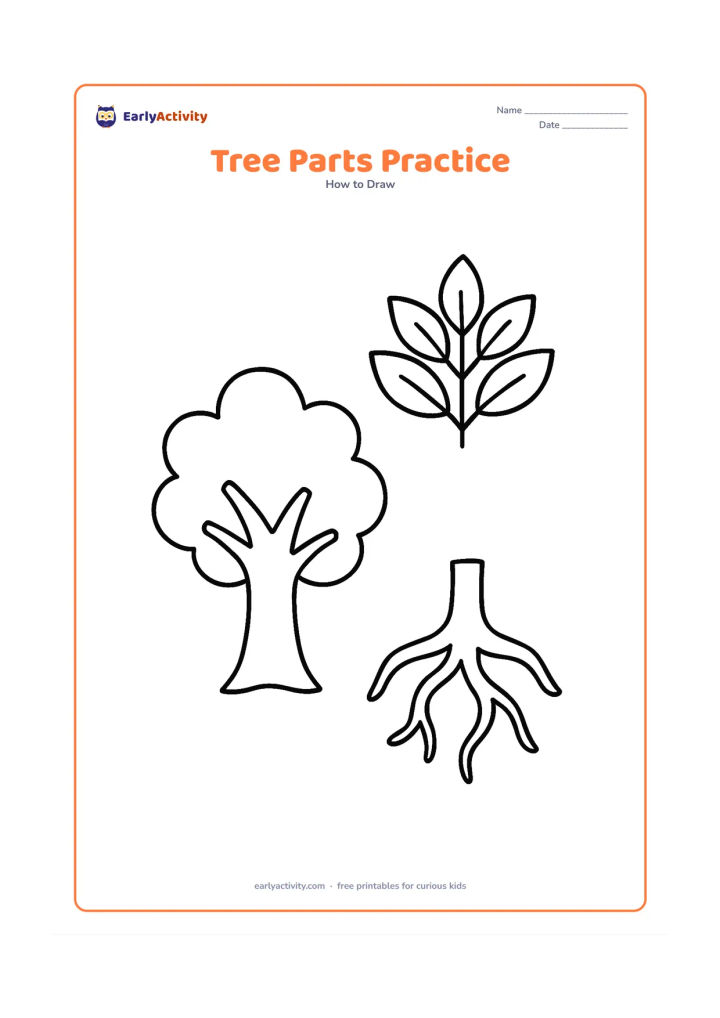 Worksheet: Show three separate large drawing areas on one page: a broad trunk with two branches, a cluster of leaves, and a simple root shape, arranged without any labels or text.