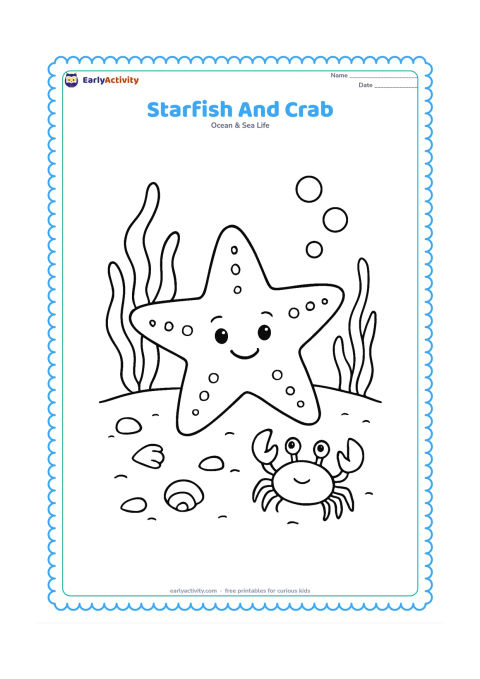 Colouring page: Draw a starfish on sandy sea floor while a small crab walks past, with seaweed, bubbles and a few shell fragments.