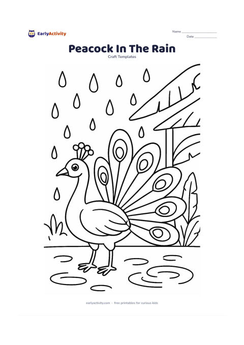 Worksheet: Draw a peacock standing with its feather fan partly open during a monsoon shower, showing layered feathers, a crest and a curved neck. Add large raindrops, puddle ripples, broad banana…