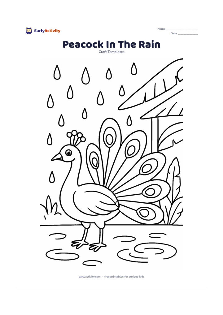 Worksheet: Draw a peacock standing with its feather fan partly open during a monsoon shower, showing layered feathers, a crest and a curved neck. Add large raindrops, puddle ripples, broad banana…