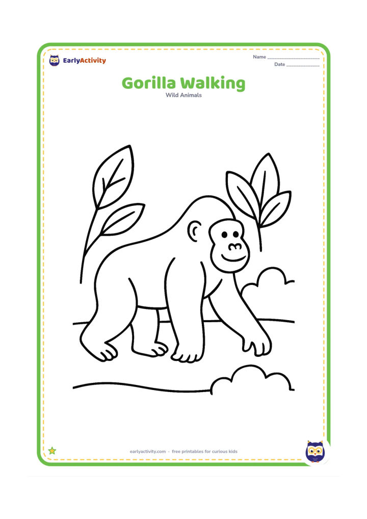 Colouring page: A friendly gorilla walks on all fours from left to right along a simple path. Add three oversized leaves and a low rounded bush.