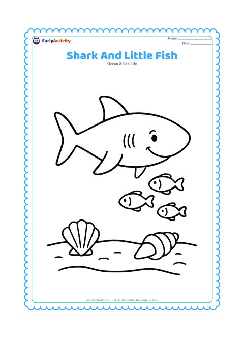 Colouring page: A friendly shark glides beside three tiny fish, with a sandy seabed and two large shells below. Leave plenty of room between each object for easy colouring.