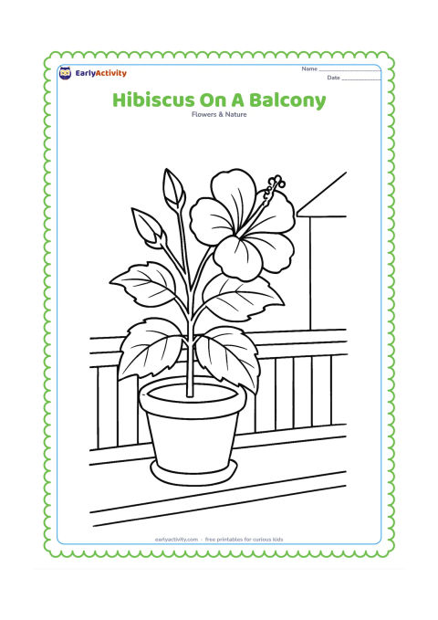 Colouring page: Draw a hibiscus in a clay pot on an Indian-style balcony ledge, with a simple railing, one open flower, two buds, and broad leaves. Add a distant outline of a neighbouring roof without…