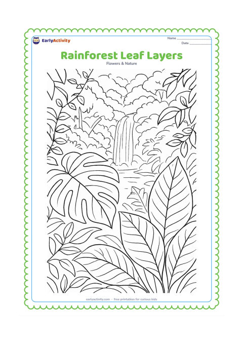 Colouring page: Large tropical leaves overlap in the foreground while smaller leaves, vines and a distant waterfall create layered rainforest depth behind them.