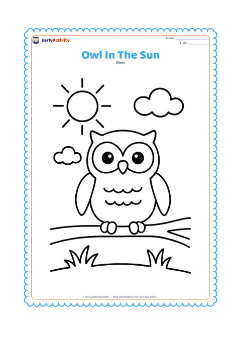 Colouring page: A full-body owl stands on a low branch in daytime, with a large sun, two fluffy clouds and three simple grass tufts behind it.