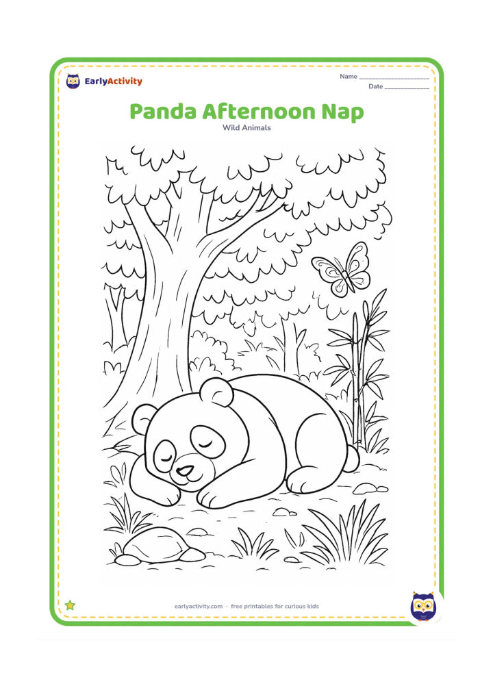 Colouring page: Draw a panda asleep beneath a broad tree in a detailed afternoon forest scene, with dappled leaf shapes, bamboo, roots, grass, rocks and a butterfly nearby.