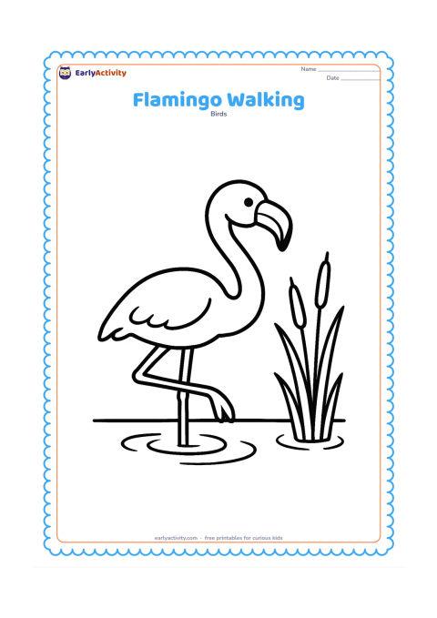 Colouring page: Draw one flamingo taking a step through shallow water, with one leg lifted forward and small curved ripples around its feet. Add a few large reeds at the edge.