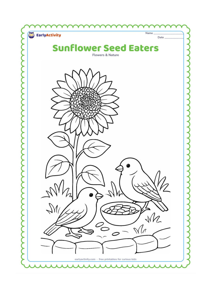 Colouring page: A mature sunflower with a richly patterned seed centre stands beside a small bowl of loose seeds while two sparrows gather on the ground. Add layered leaves, grass, and a low stone border.