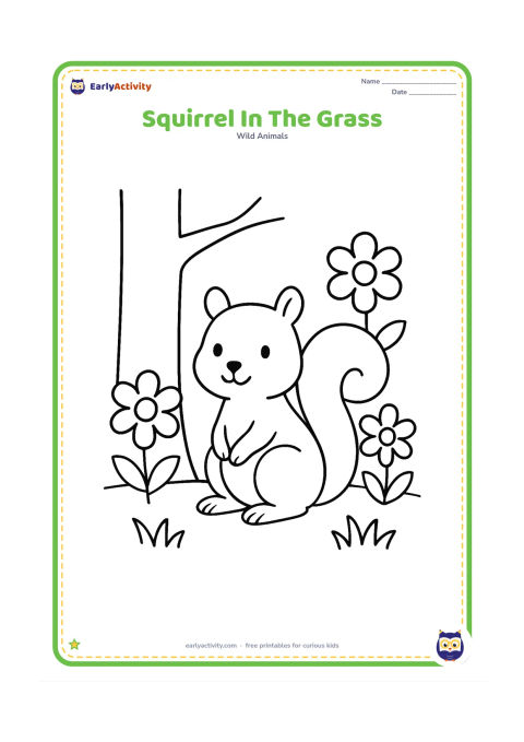 Colouring page: Draw a squirrel sitting in short grass beside one simple tree trunk and three large flowers, with its tail curled beside its body.