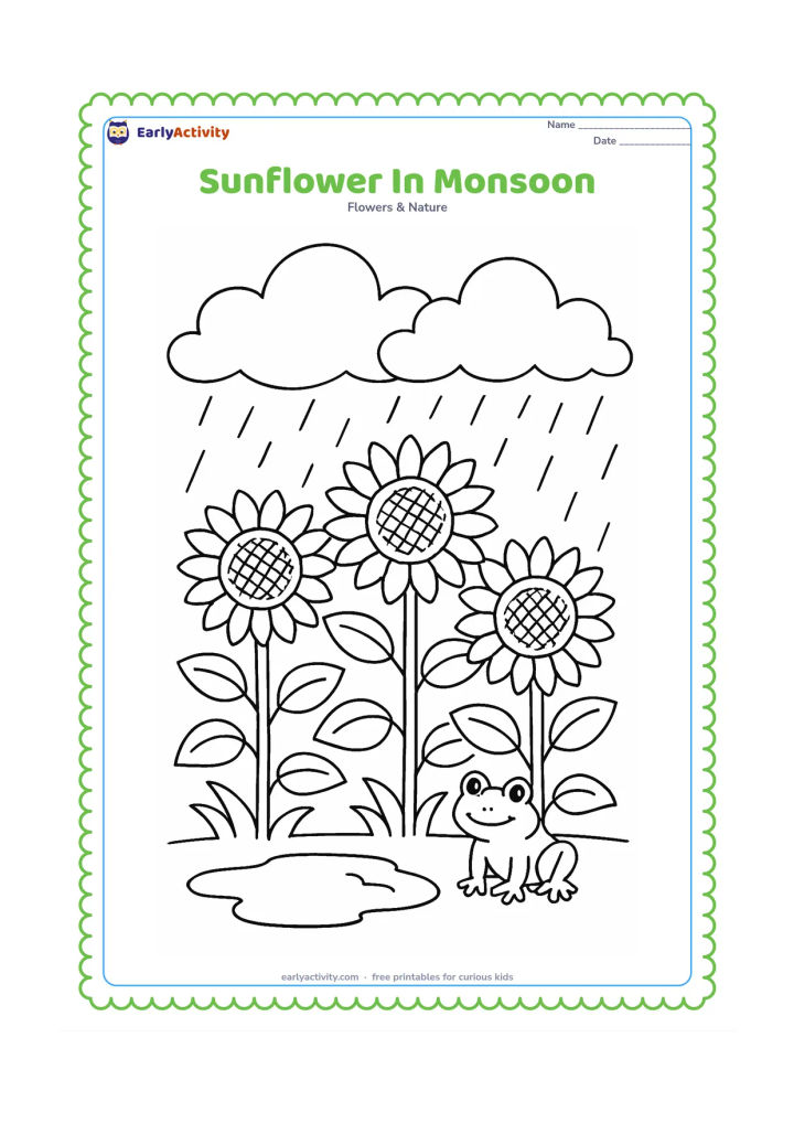 Colouring page: Three sunflowers grow in a garden during a monsoon shower, with layered clouds, falling rain, a puddle, and one frog near the leaves. Show broad petals and visible seed centres.