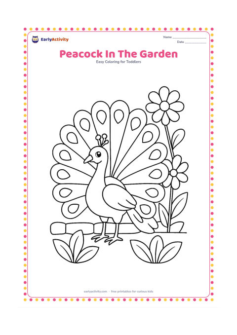 Colouring page: Draw a peacock standing with its tail fully spread beside large garden flowers. Include a low stone border and three broad leaves around its feet.
