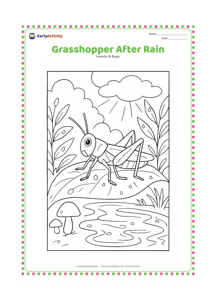 Colouring page: Draw a grasshopper standing on a wet leaf after rain, with droplets on nearby plants, a small puddle reflecting the leaves, mushrooms, and a bright opening in the clouds.