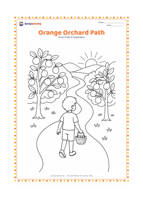 Colouring page: Draw a winding path through an orange orchard, with trees carrying fruit on both sides and a child walking with a small basket. Include distant low hills and a rising sun.