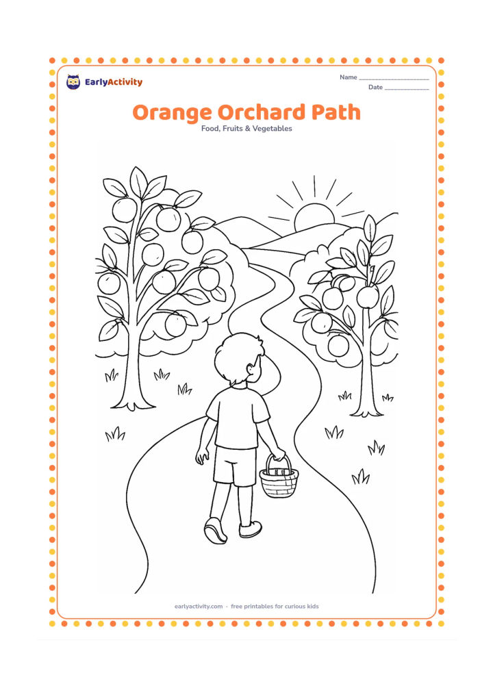 Colouring page: Draw a winding path through an orange orchard, with trees carrying fruit on both sides and a child walking with a small basket. Include distant low hills and a rising sun.