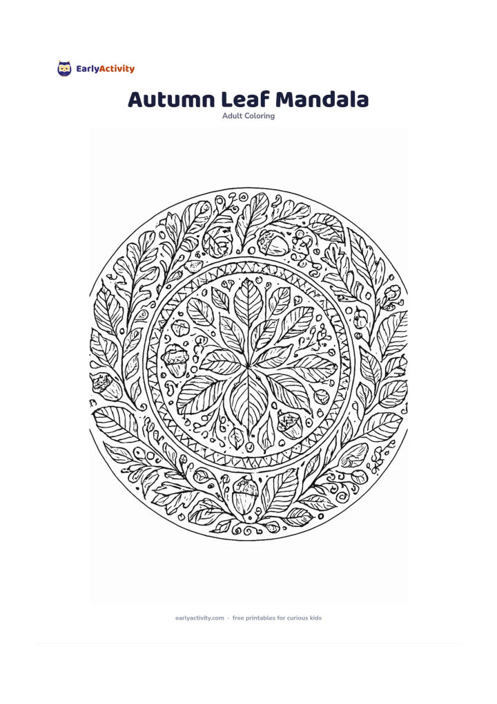Colouring page: A large circular arrangement of different leaves, acorns, seed pods, curling stems and berries fills the page, with layered rings radiating from the centre. Give each ring a different…