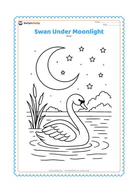 Colouring page: A swan rests on a calm lake beneath a large crescent moon, with stars, reeds, distant trees, and a long moon reflection across the water. Keep the mood peaceful and non-scary.
