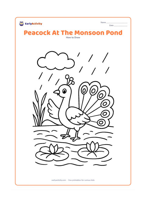 Worksheet: A peacock raises one wing beside a pond during light monsoon rain, with lotus leaves, reeds, a cloud and a distant low hill. Its open tail arcs behind the body.