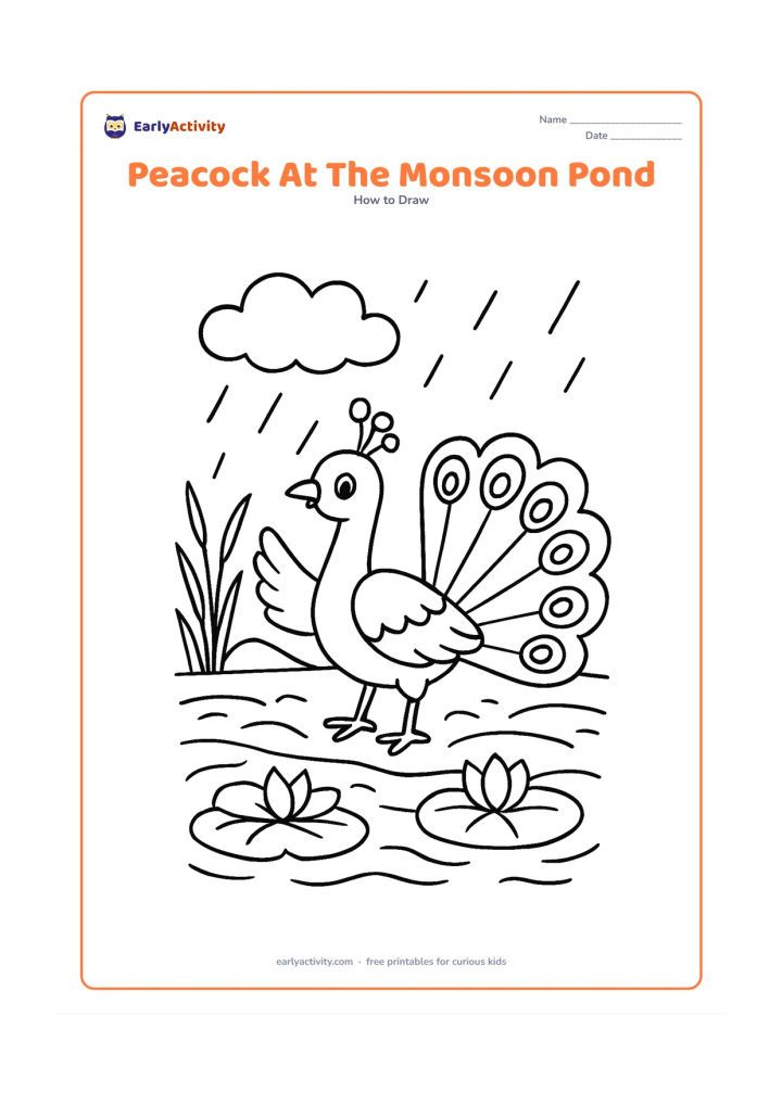 Worksheet: A peacock raises one wing beside a pond during light monsoon rain, with lotus leaves, reeds, a cloud and a distant low hill. Its open tail arcs behind the body.