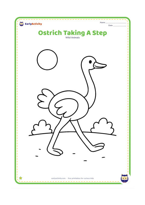 Colouring page: Draw one ostrich taking a big step across sandy ground, with its wings slightly open and neck held high. Add two small bushes and a round sun.
