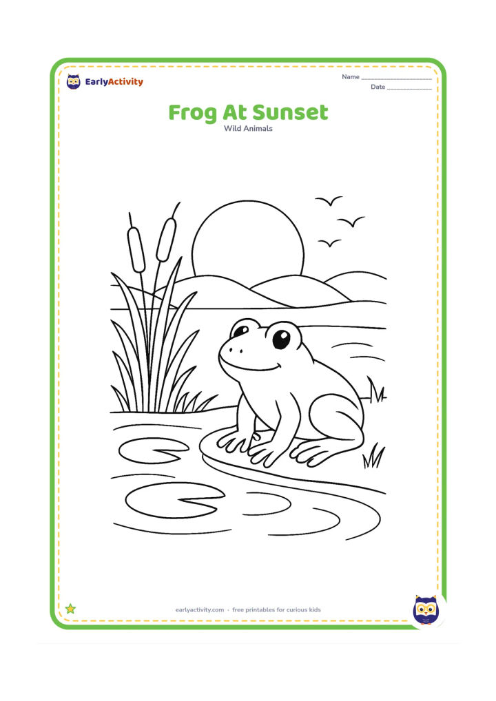 Colouring page: Draw a frog resting on a pond bank with reeds and lily pads, while a large low sun sits behind distant rounded hills. Add reflected curves in the water and a few flying birds as simple…