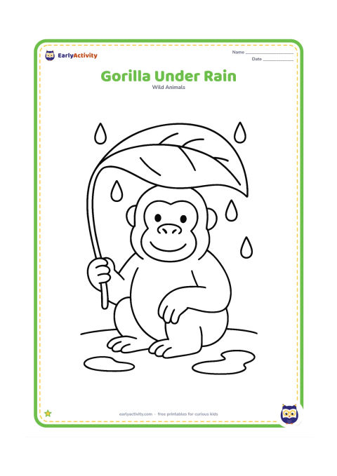Colouring page: A gorilla sits under a large broad leaf held overhead like an umbrella while a few simple raindrops fall around it. Add two puddle curves on the ground.