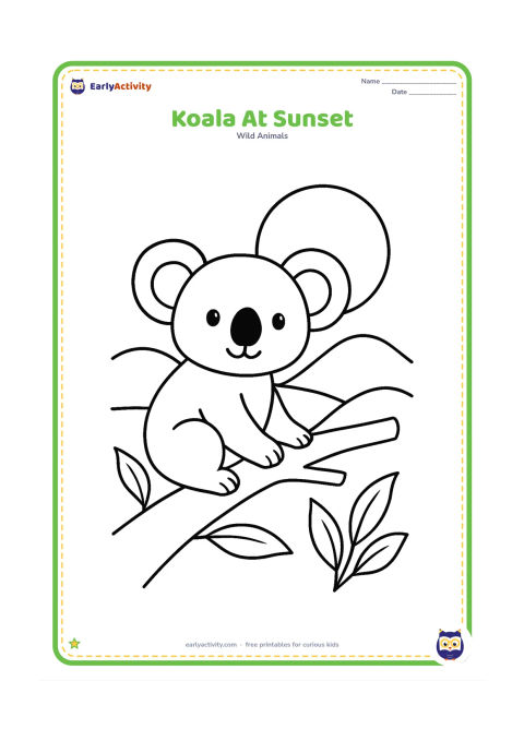 Colouring page: Draw a koala sitting on a branch and looking toward a large setting sun behind distant rounded hills. Add a few simple eucalyptus leaves in the foreground.