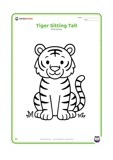 Colouring page: A full tiger sits upright facing forward, with clearly separated paws, rounded ears, wide eyes, stripes, and a long tail curling beside its body. Add only two small tufts of grass…