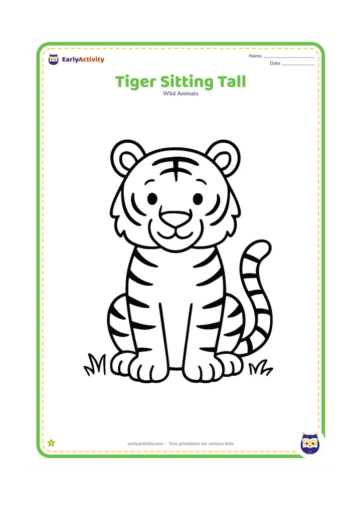 Colouring page: A full tiger sits upright facing forward, with clearly separated paws, rounded ears, wide eyes, stripes, and a long tail curling beside its body. Add only two small tufts of grass…