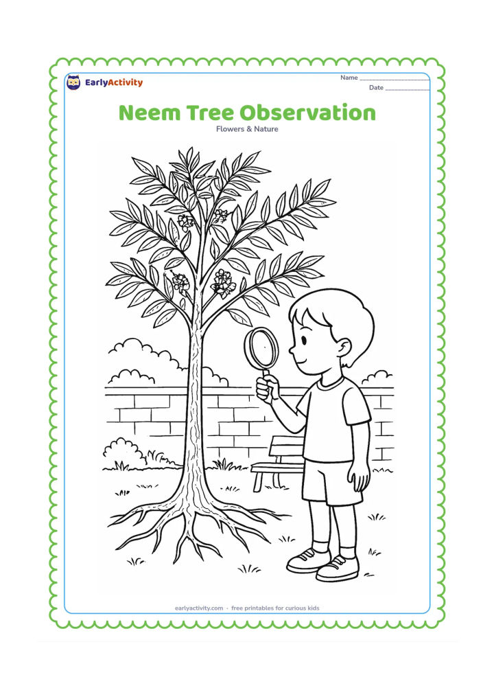 Colouring page: Draw a child observing a neem tree in a neighbourhood garden with a magnifying glass, showing detailed leaflets, bark markings, spreading roots, small flowers, a bench, and a boundary…