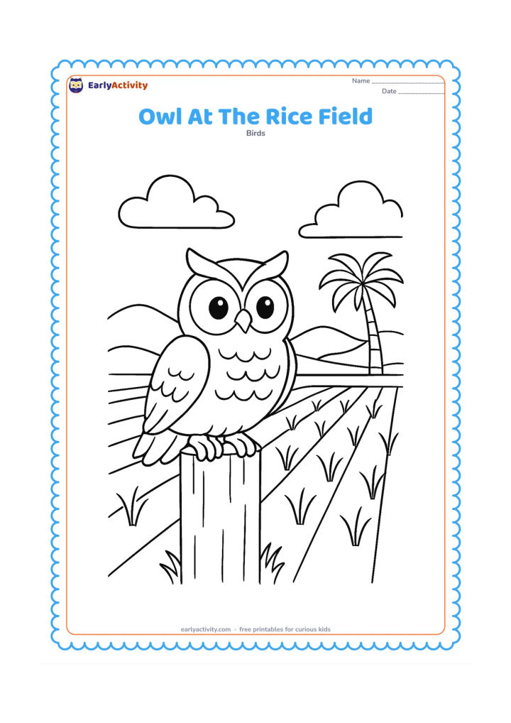 Colouring page: An owl stands on a wooden post beside an Indian rice field, with rows of young plants, a distant palm tree and low hills.