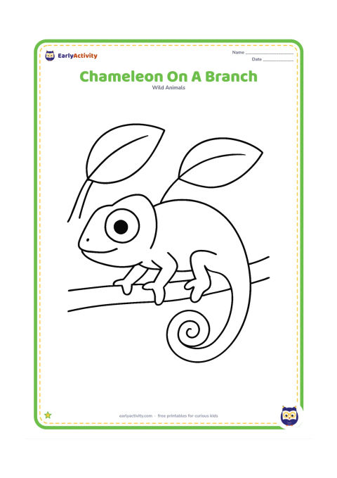 Colouring page: A chameleon stretches along a single thick branch, gripping it with all four feet and curling its tail around one end. Place two oversized leaves above the branch.