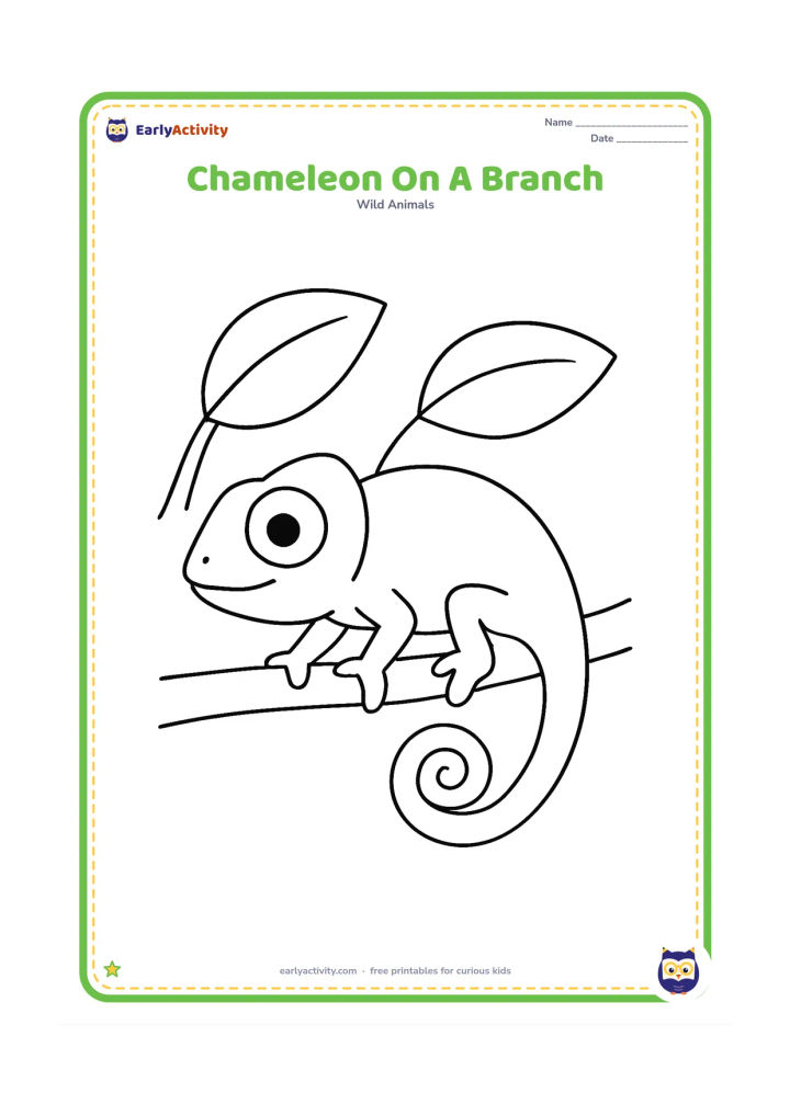 Colouring page: A chameleon stretches along a single thick branch, gripping it with all four feet and curling its tail around one end. Place two oversized leaves above the branch.